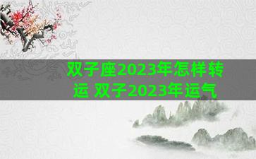 双子座2023年怎样转运 双子2023年运气